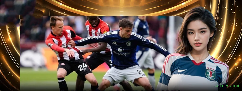 Controles de paJogonto e BRL em vdirer.com